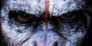 4 aspectos de los simios de Planet of the Apes que son posibles en la vida real - theborderlinemusic.com