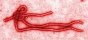 19 preguntas para entender la crisis del ébola en Madrid - theborderlinemusic.com