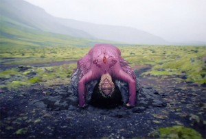 Björk, imágenes para “Family” - theborderlinemusic.com