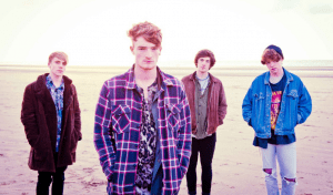 violabeach