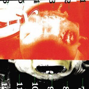 pixies-head-carrier-2016