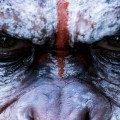 4 aspectos de los simios de Planet of the Apes que son posibles en la vida real