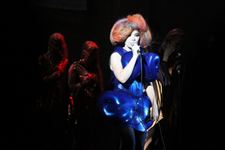 Los caprichos de Björk: productos ecológicos, vegetarianos y que no generen residuos - Theborderlinemusic.com