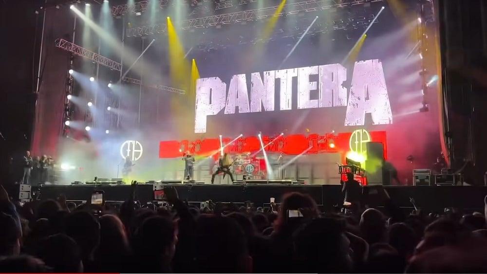 pantera